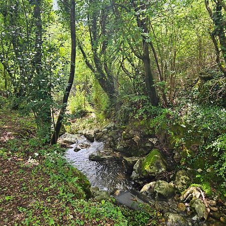 Villa Rada Igalo Kültér fotó